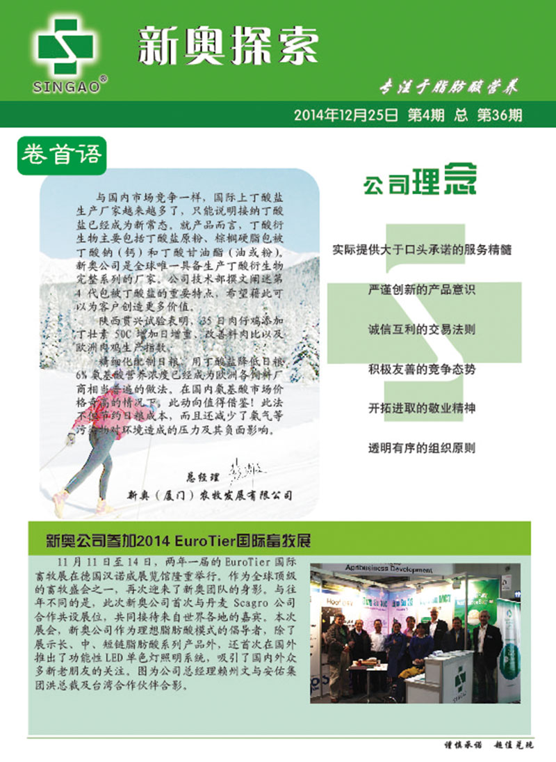 新奥全年资料免费资料公开,词语释义解释与落实展望