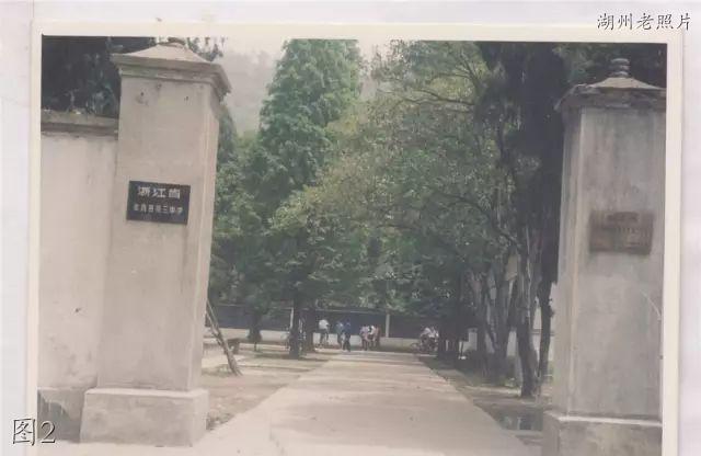 漫讯 第239页