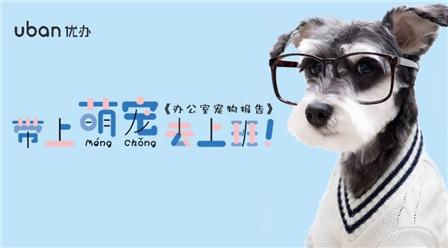 沧州知名宠物人才网站