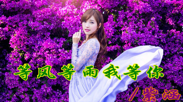 第281页