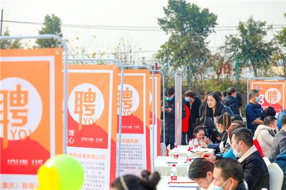 白市驿招聘网